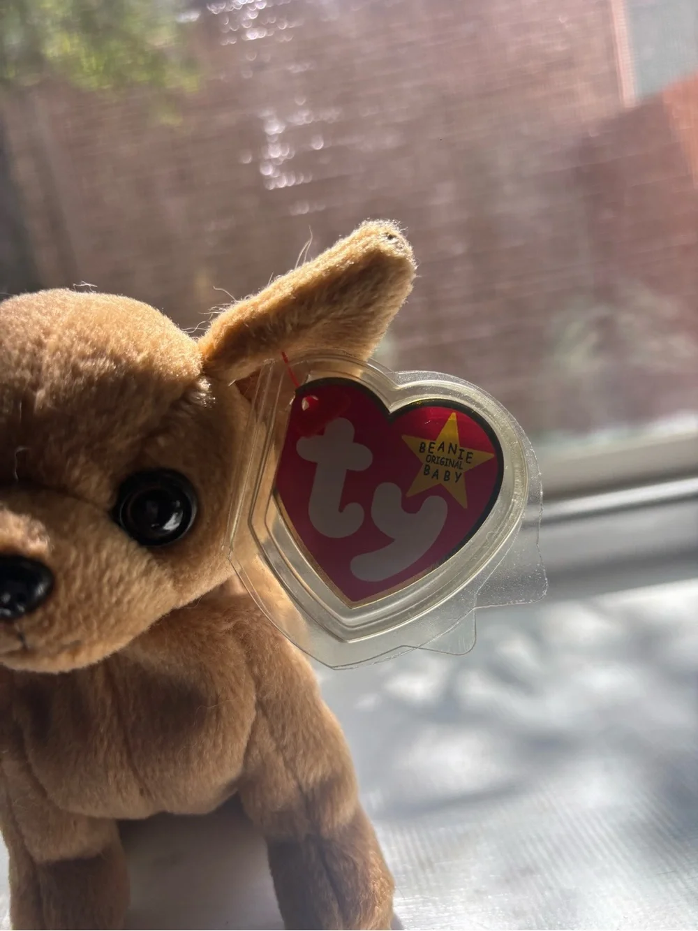 TY Beanie Baby Multicolor Chameleon Plush and TINY Chihuahua